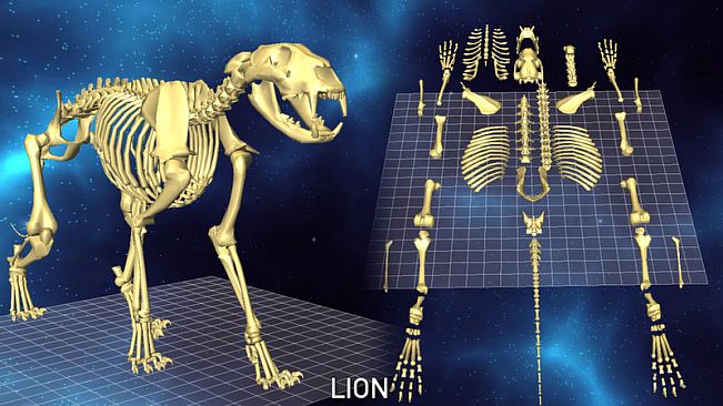 World of Guns VR: 5 Skeletons Pack