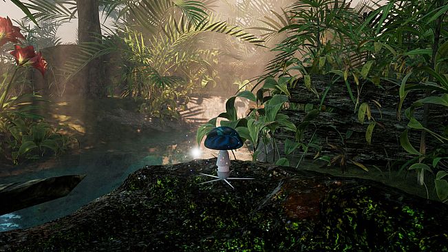 The Mushroom Adventrue:Call of Distant Realms