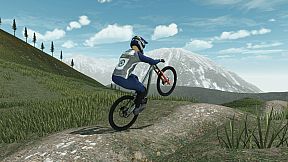 Downhill Pro Racer