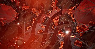 Lifecycles of the Traveler Spider