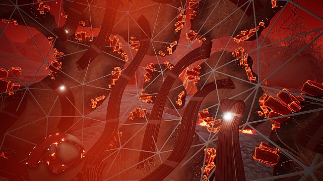 Lifecycles of the Traveler Spider