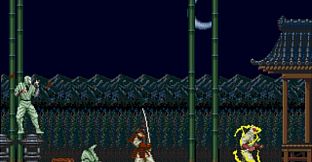 The Revenge of Shinobi