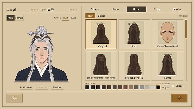 Guixu Cultivation: Mortal Realm - Salt and Pepper Hair
