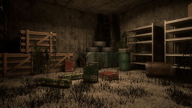 Darkness in the Forest