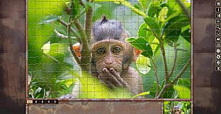 Pixel Puzzles Traditional Jigsaws Pack: Variety Pack 11