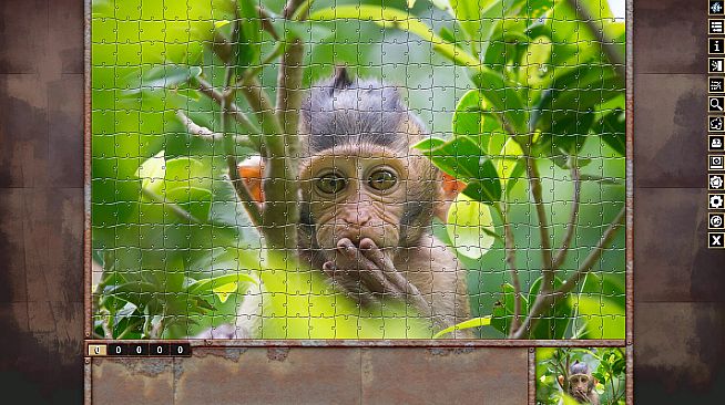 Pixel Puzzles Traditional Jigsaws Pack: Variety Pack 11