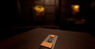 Dreams Of A Visionary