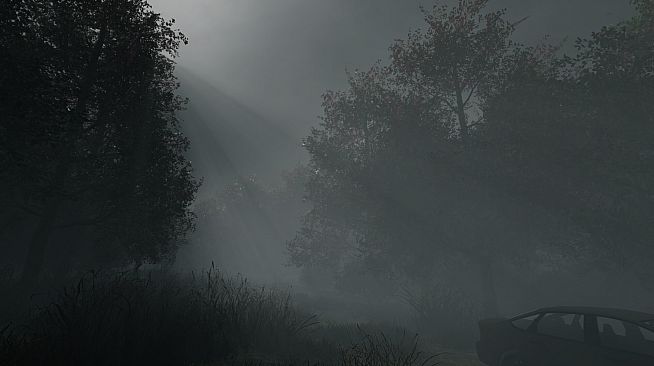 Whispering Fog