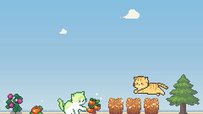 PicoCat