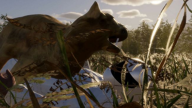 Fishing Grind - Supporter Pack