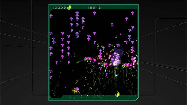 Centipede & Millipede