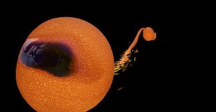 Planets in a Box