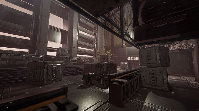 NearPrime VR - Net Burn