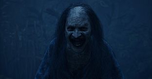 The Twilight Project