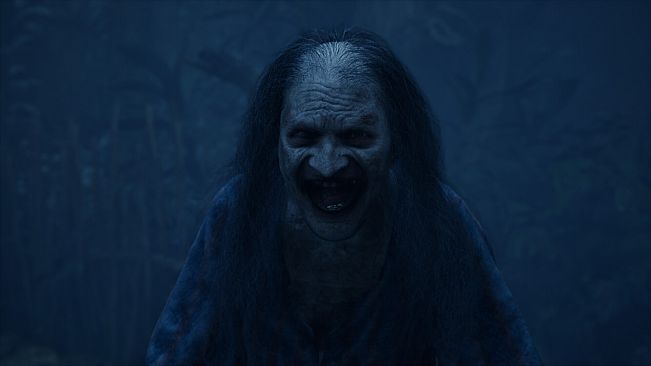 The Twilight Project