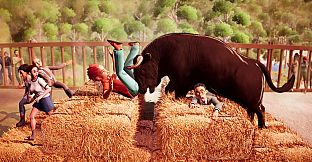 Bull Simulator