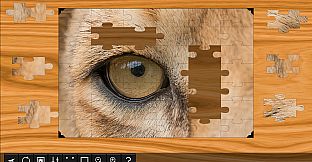 Jigsaw Puzzle World - Lions & Tigers