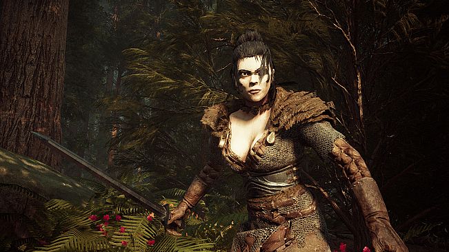 Archer: The Witch's Wrath