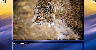 Super Jigsaw Puzzle: Generations - Spain Puzzles