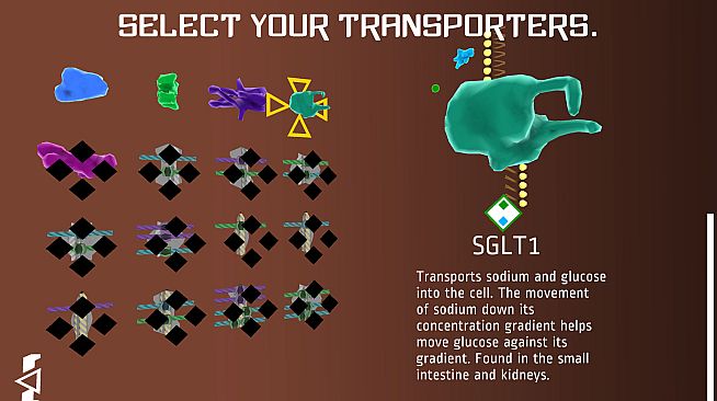 Against the Gradient