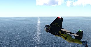 FlyWings 2018 - Entertainment