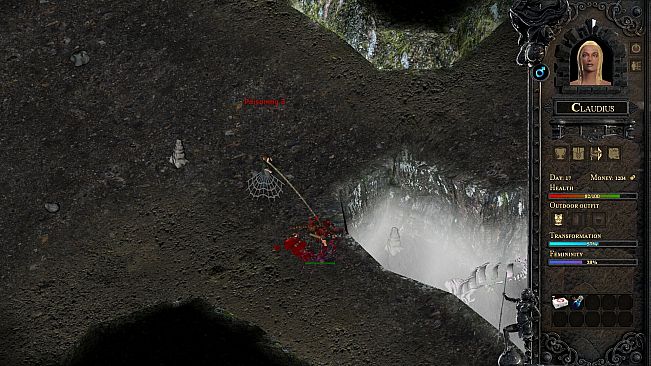 Desires of the Amazons