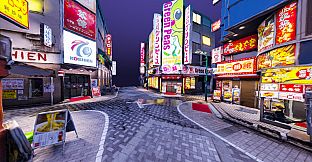 Puzzling Places - Tokyo