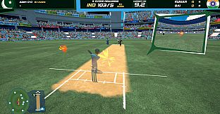 Don Bradman Cricket Jr