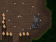 Snails Have Skeletons