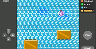 Meow Weight Loss Diary