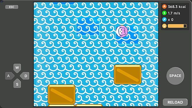 Meow Weight Loss Diary