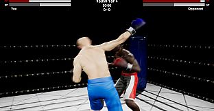Boxing Simulator