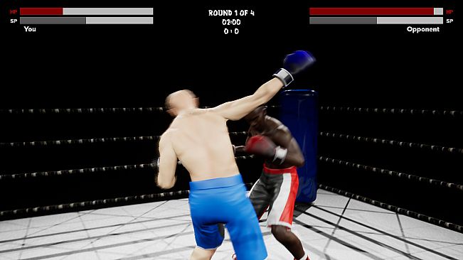 Boxing Simulator