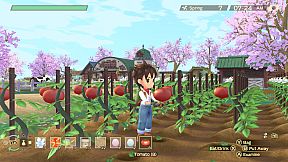 STORY OF SEASONS: A Wonderful Life