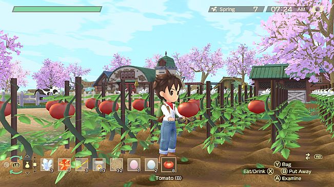 STORY OF SEASONS: A Wonderful Life