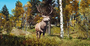 Way of the Hunter - Lintukoto Reserve