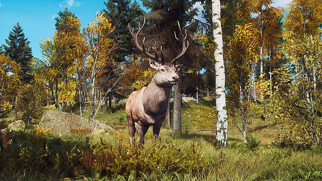 Way of the Hunter - Lintukoto Reserve