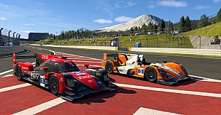 Project Motor Racing: World Endurance Pack