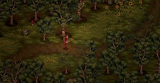 (Old) Drova - Teaser