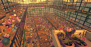 Greenhouse: Tidy Up!