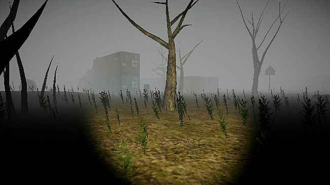 The Letter: Classic Edition