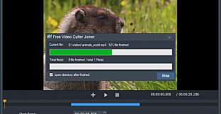 Free Video Cutter Joiner