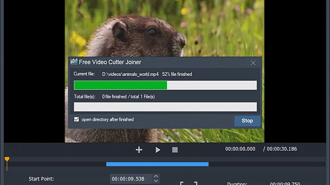 Free Video Cutter Joiner