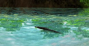 Wildlife Park 3 - Amazonas