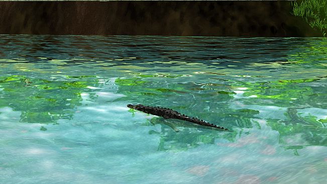 Wildlife Park 3 - Amazonas