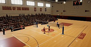 Volleyball Mania