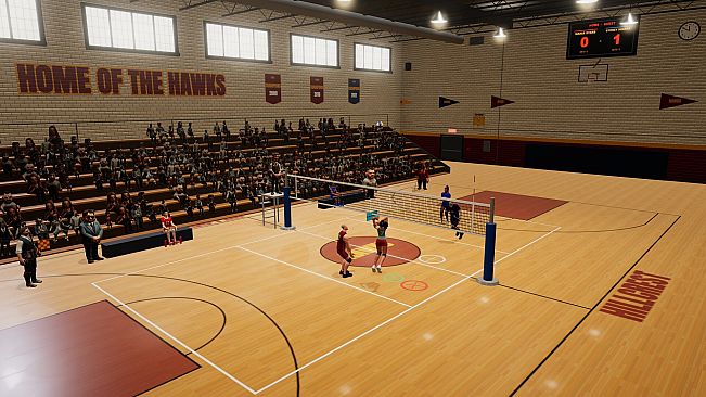 Volleyball Mania