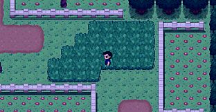 Chronicles of Zimoria