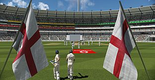 Cricket 22
