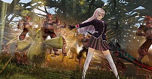 WARRIORS ALL-STARS: Honoka-themed costume for Arnice